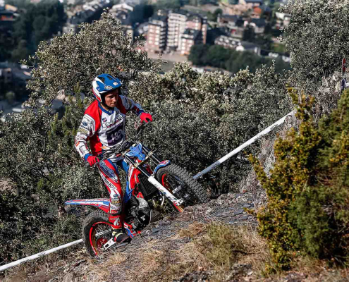 Andrea rabino 2023
